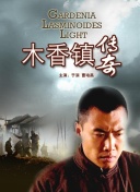 轻松上手：《历代传奇》新手指南，让你快速入门